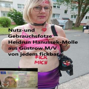 Heidrun Hanussek-Molle dumme deutsche Nutzfotze und Webschlampe
