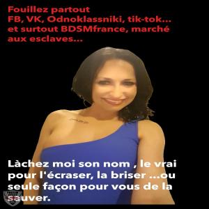 A mettre à la niche... surnomee Cocker
