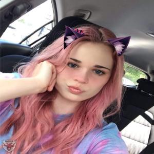 NZ kitten Maddie lost. 10 vote no delete