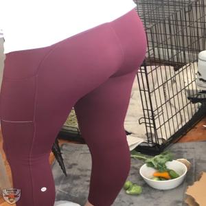 Missouri Slut Katie Howell