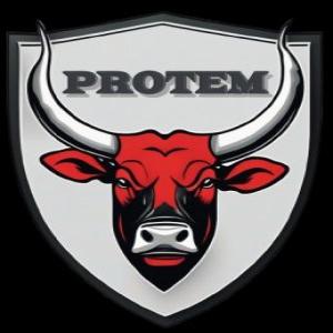 🎉 One Year of Protem 🎉